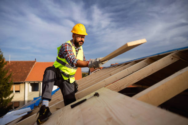 Best Roof Maintenance and Cleaning  in USA